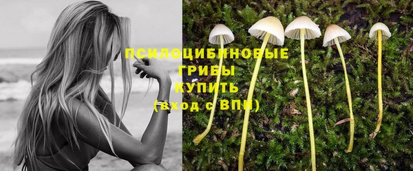 бутират Алексеевка