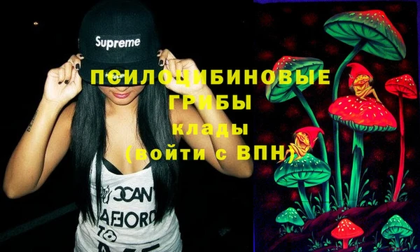 бутират Алексеевка